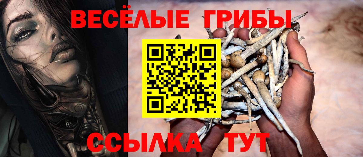 Псилоцибиновые грибы прущие грибы Артём