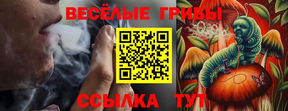 Псилоцибиновые грибы мухоморы  Псилоцибиновые грибы MAGIC MUSHROOMS  Артём  Вход с VPN 